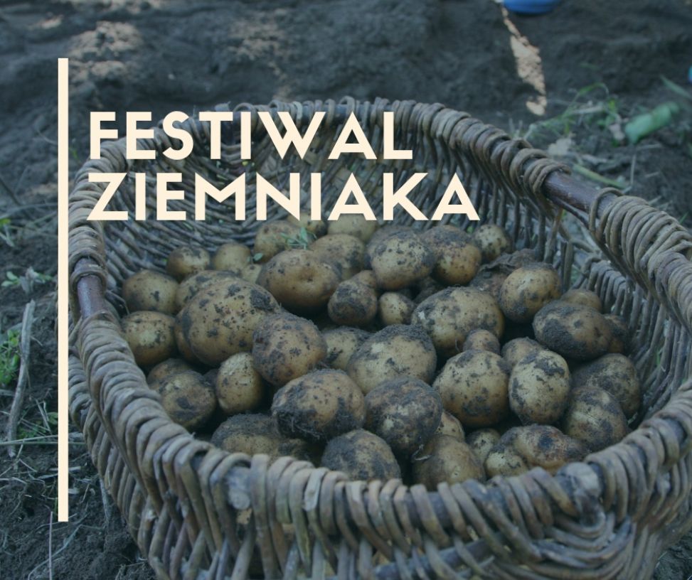 Festiwal Ziemniaka