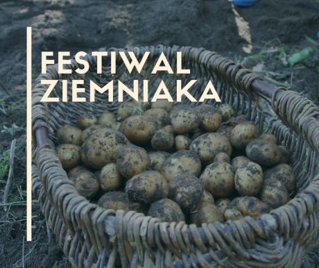 Festiwal Ziemniaka