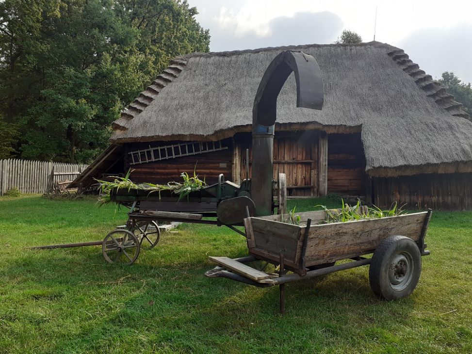 Sieczkę do żłobu podano