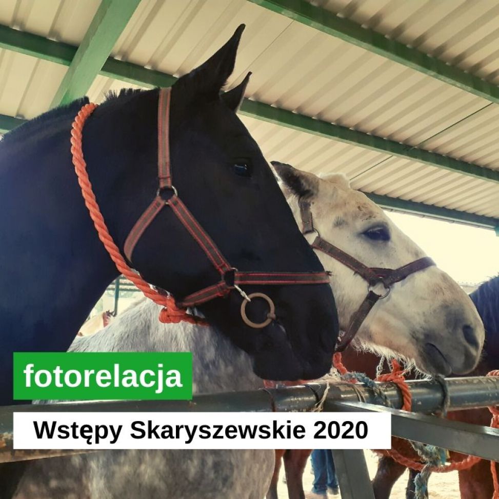 Wstępy 2020