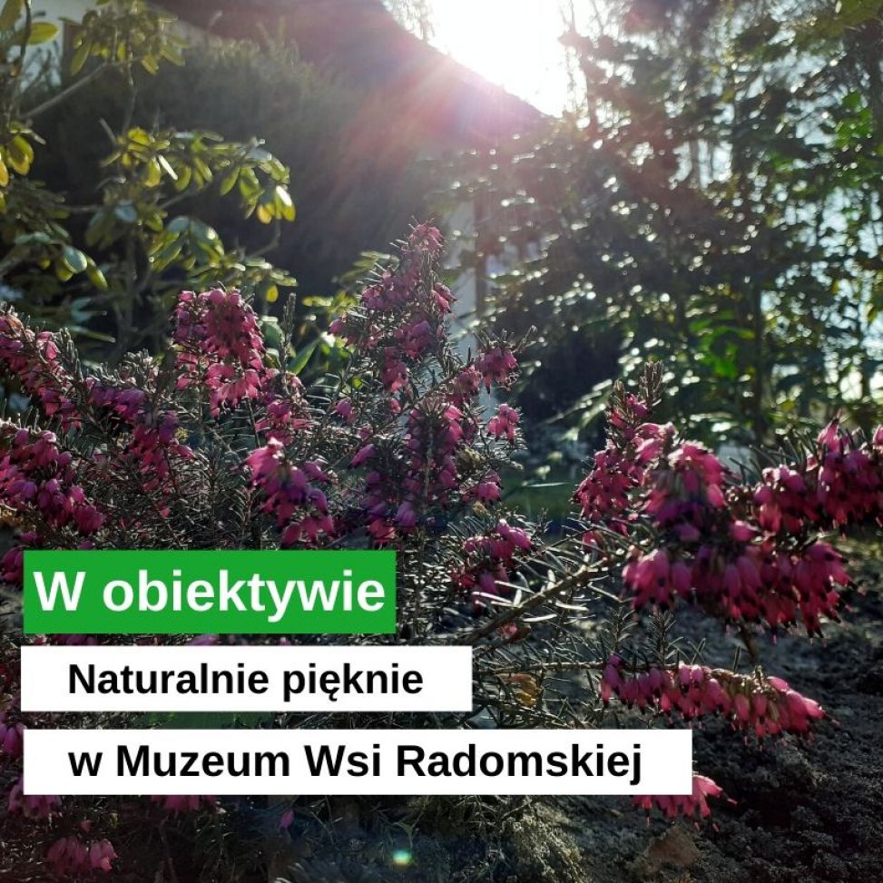 Jest naturalnie pięknie