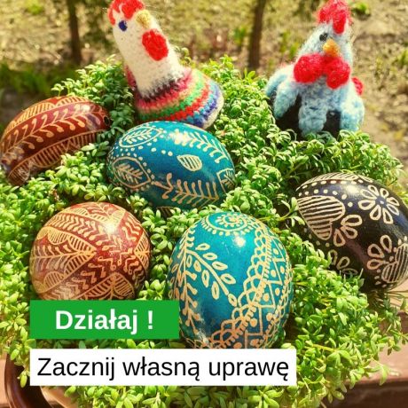 Zacznij własną uprawę