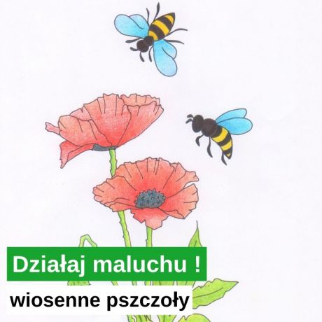 Wiosenne Pszczoły