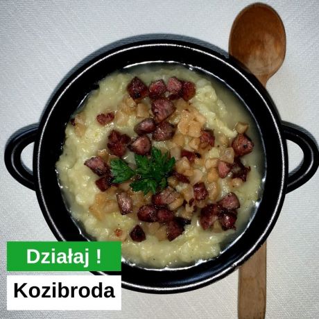 Kozibroda