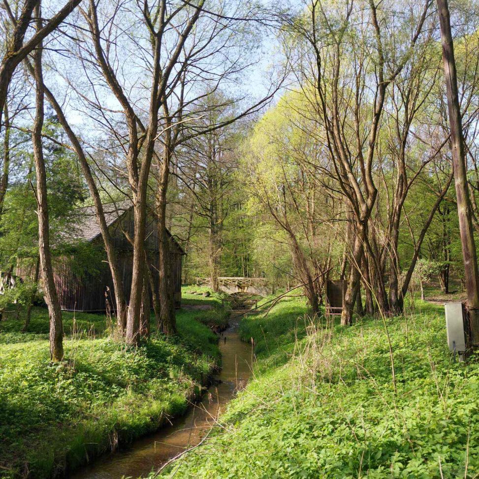 Terenowe lekcje muzealne