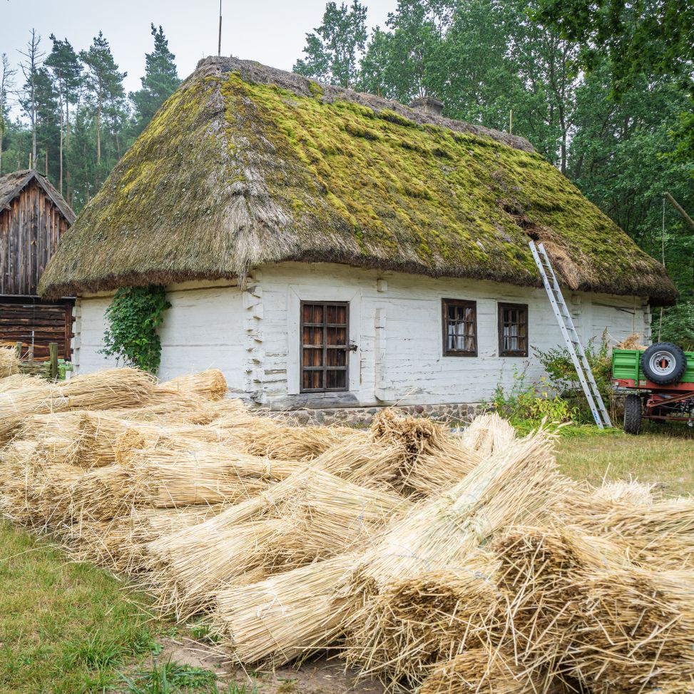 Trwa wymiana strzechy na chałupie z Kłonówka – zagroda czasowo zamknięta dla zwiedzających