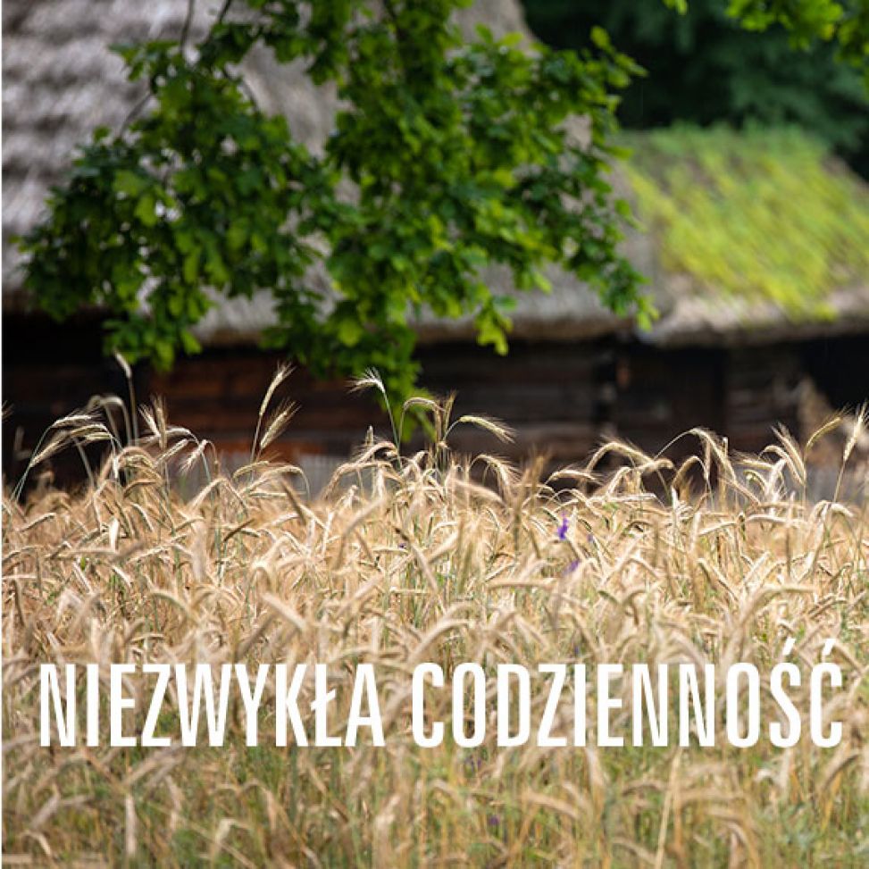 Niezwykła codzienność - PREMIERA