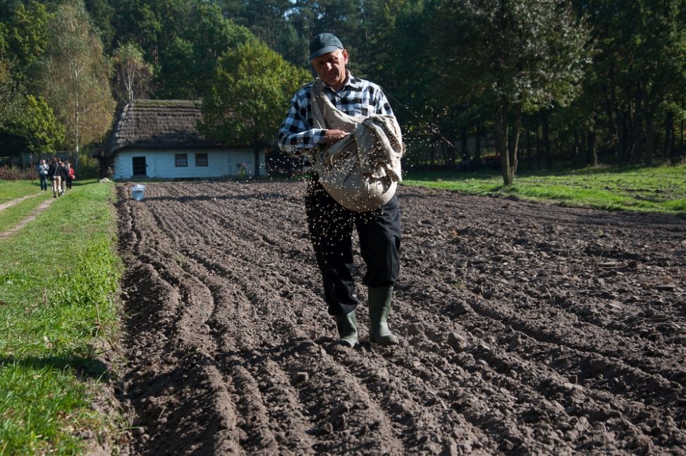 Święto Matki Boskiej Siewnej