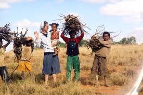 Bożena Skolimowska, Korespondencja z Madagaskaru (1)